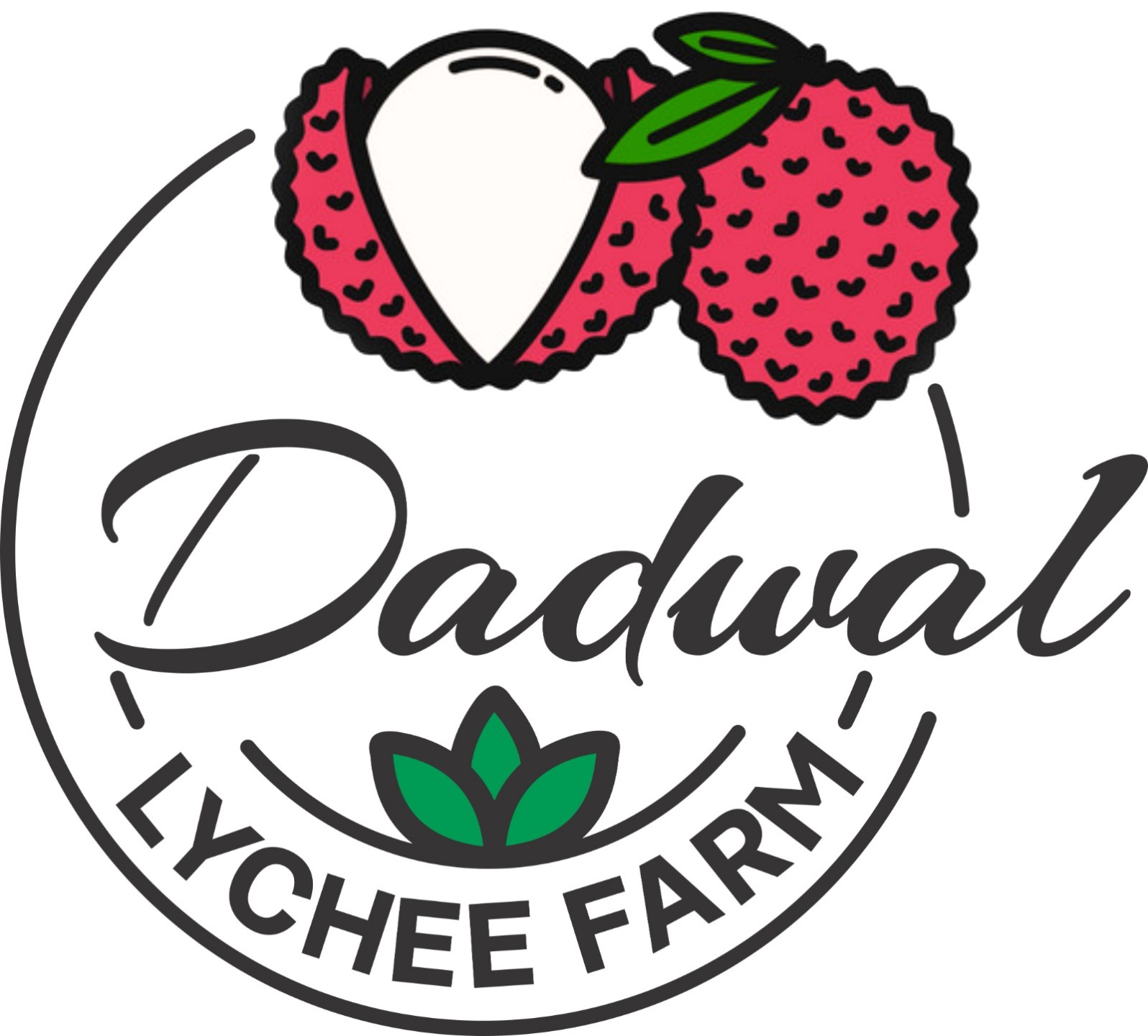 Dadwal Lychee Farm
