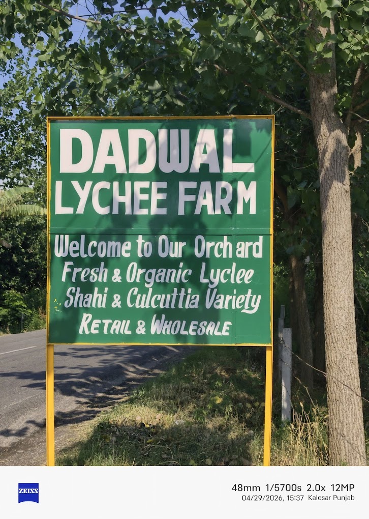 Dadwal Lychee Farm entrance, Muradpur, Pathankot